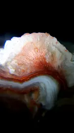 20220306_210447.webp