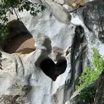 large.webp