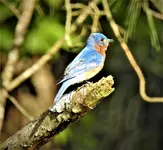 DSCN1390.webp