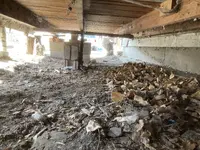 underdeck.webp