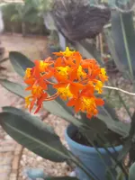 20220317_085446.webp
