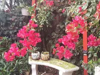 20220317_085343.webp