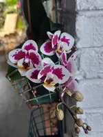 20220317_090601.webp
