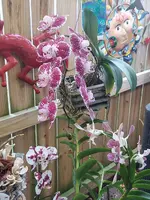 20220317_090532.webp