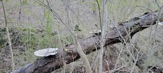 20220320_182138.webp