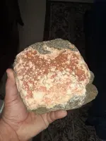 20220321_121657.webp
