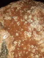 20220321_121730.webp