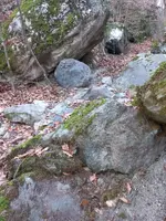 20220120_121405.webp
