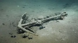 GOM Shipwreck w: GLASS!.webp