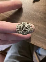brooch.webp