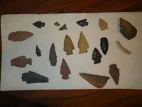 IMGP9340.webp