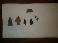IMGP9342.webp