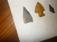 IMGP9343.webp