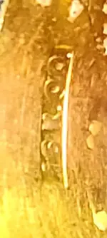 JXMG1091[1].webp