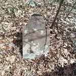 IMG_20220326_121330.webp