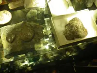 IMGP9349.webp