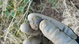 Metal Detecting The Fair Field 10-17 screenshot.png