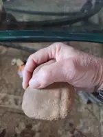20220328_141944.webp