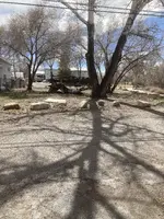 parkhunt.webp