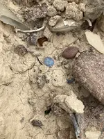 dirt orb.webp