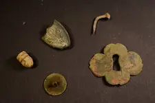 todays finds.webp