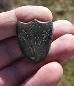 brass shield.webp