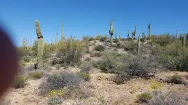 Point of Ridge for rock man .webp