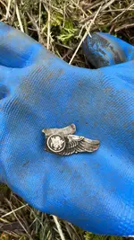 wings.webp