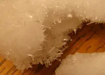 DSC02159.webp