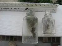 pic 007.webp