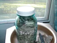 DSCN1380.webp
