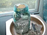 DSCN1379.webp
