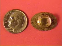 Oct13-2008THINGYback.webp