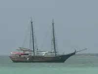 Pirates.webp