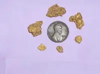 Greaterville gold 2.webp