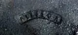 allison tag.3.webp