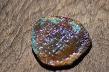 coin4.webp