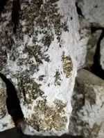 20220411_015728.webp