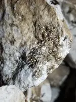 20220411_015534.webp
