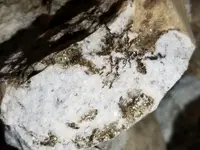 20220411_015145.webp