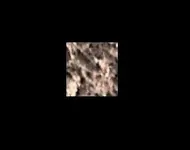 cct.webp