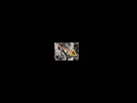 mina2.webp