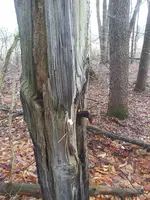 20210401_180452.webp