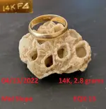 DocBeav 2022 Gold Ring #3.webp
