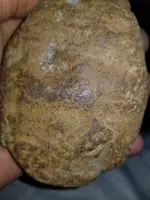 20220414_071254.webp