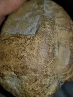 20220414_071305.webp