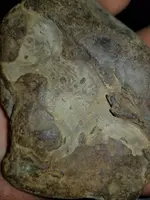 20220414_071319.webp
