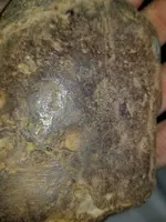20220414_071325.webp