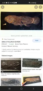 Screenshot_20220311-181938_Chrome.webp