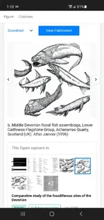 Screenshot_20220311-011004_Chrome.webp